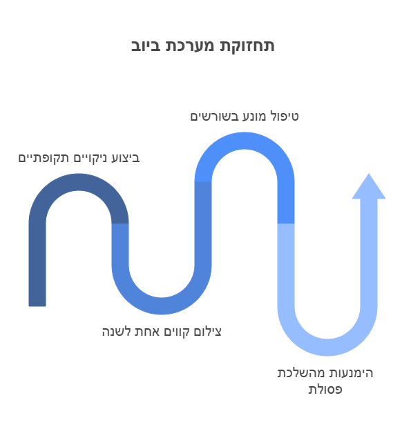 ביוב זורם לרחוב