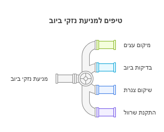 שורשים חוסמים את הביוב