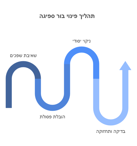 פינוי בור ספיגה דחוף